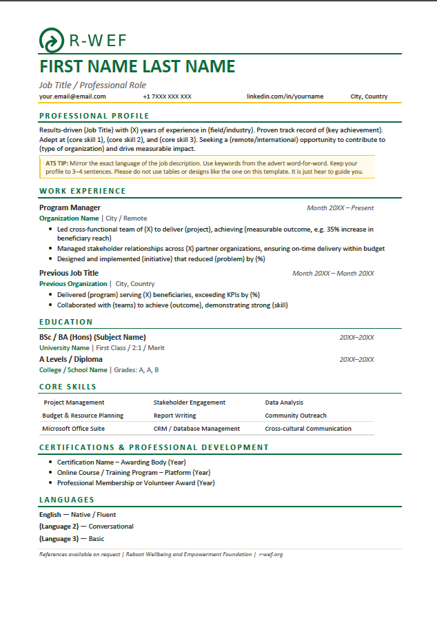 Professional CV Template